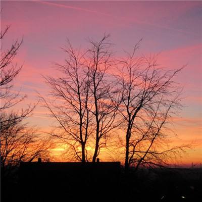 运城0359房产网截图